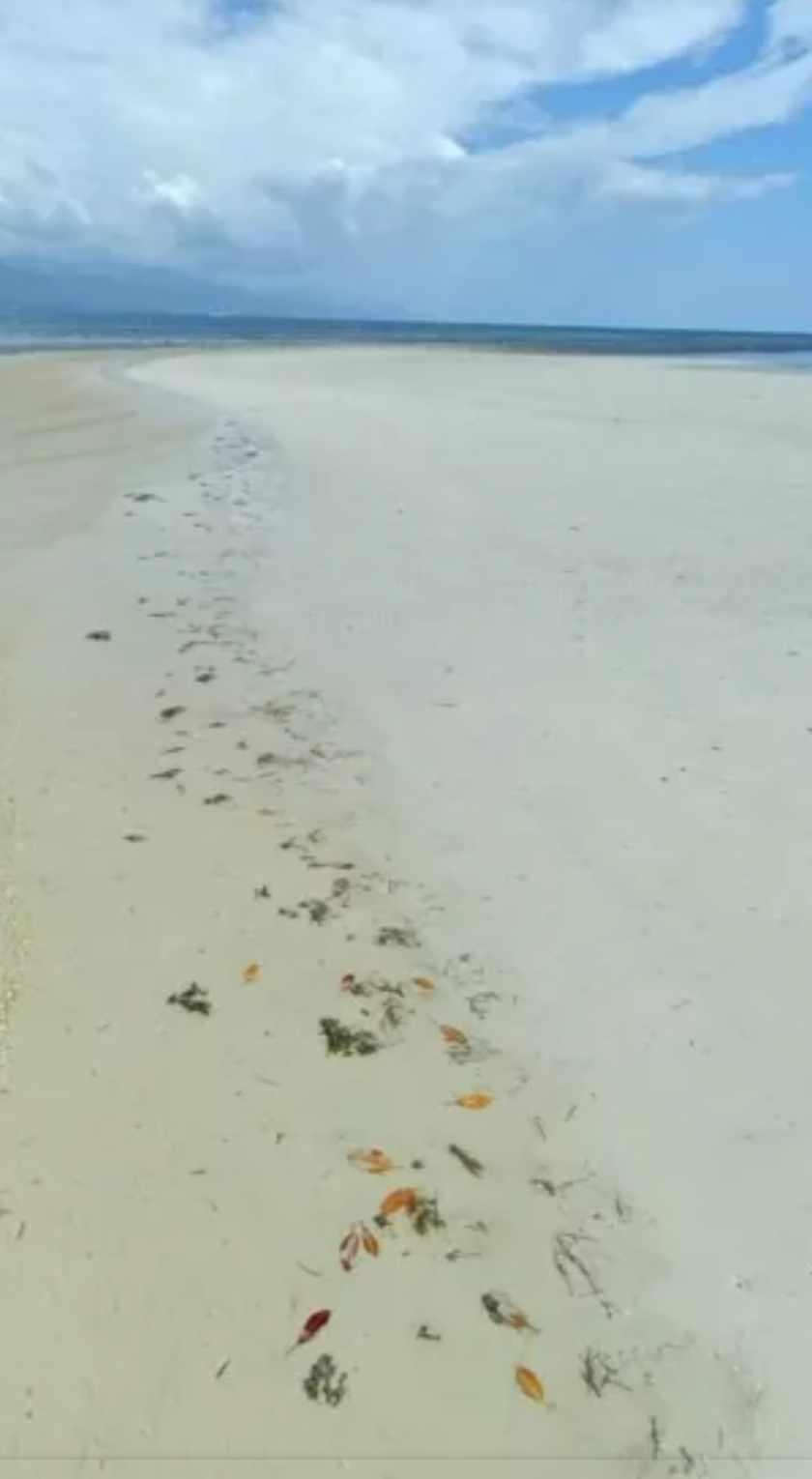 Island in Puerto Princesa - Image# 4