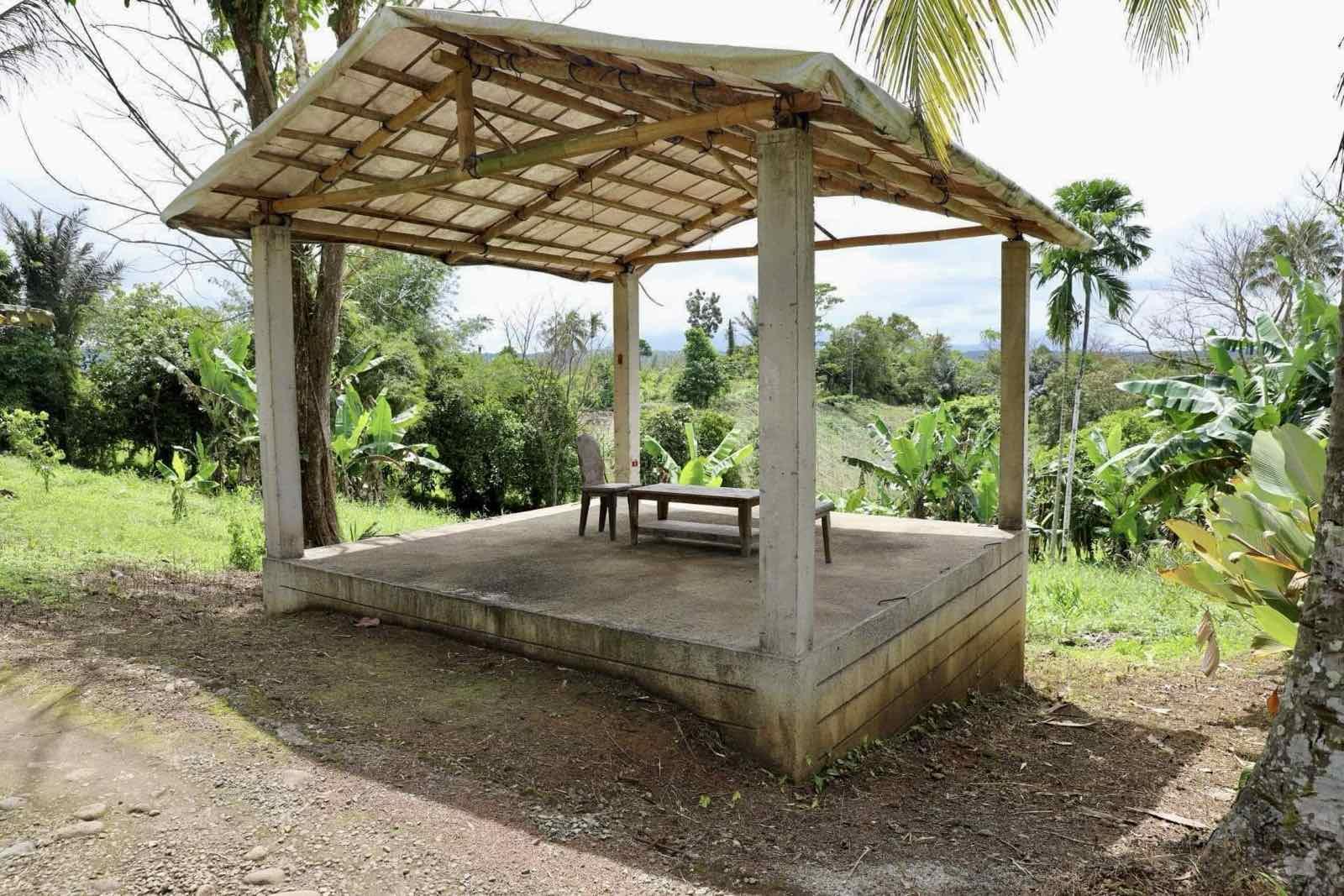 Farm House and lot for Sale! Only 30M! - Image# 4