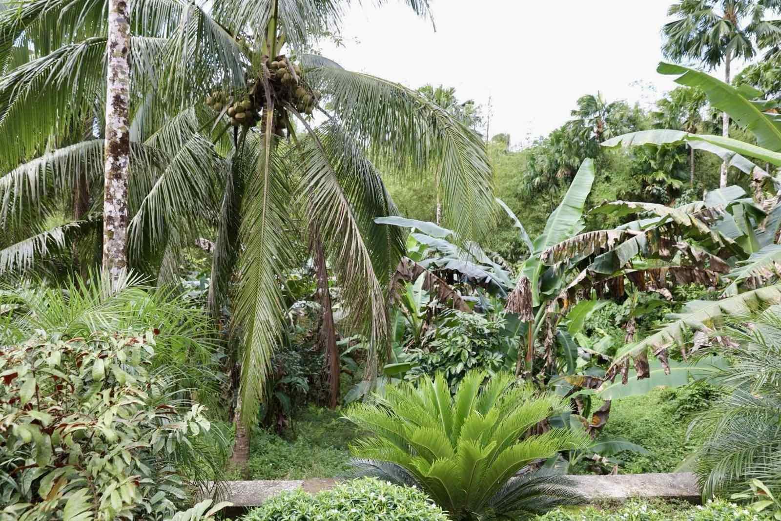 Farm House and lot for Sale! Only 30M! - Image# 12