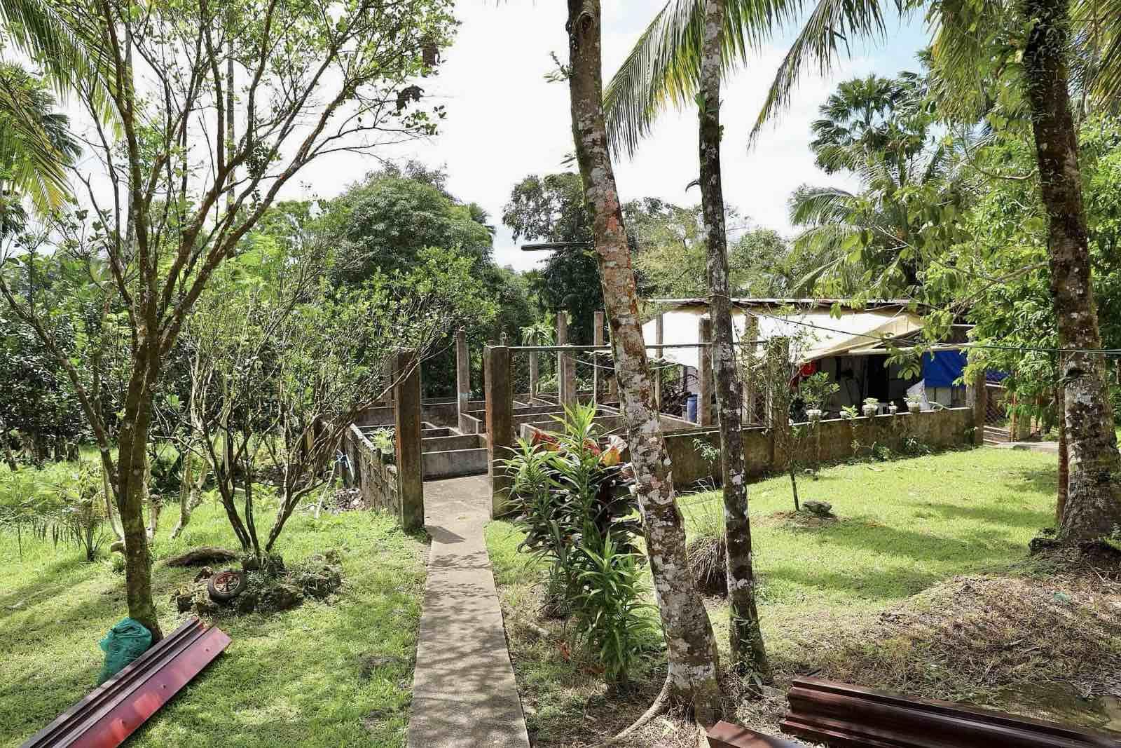 Farm House and lot for Sale! Only 30M! - Image# 15