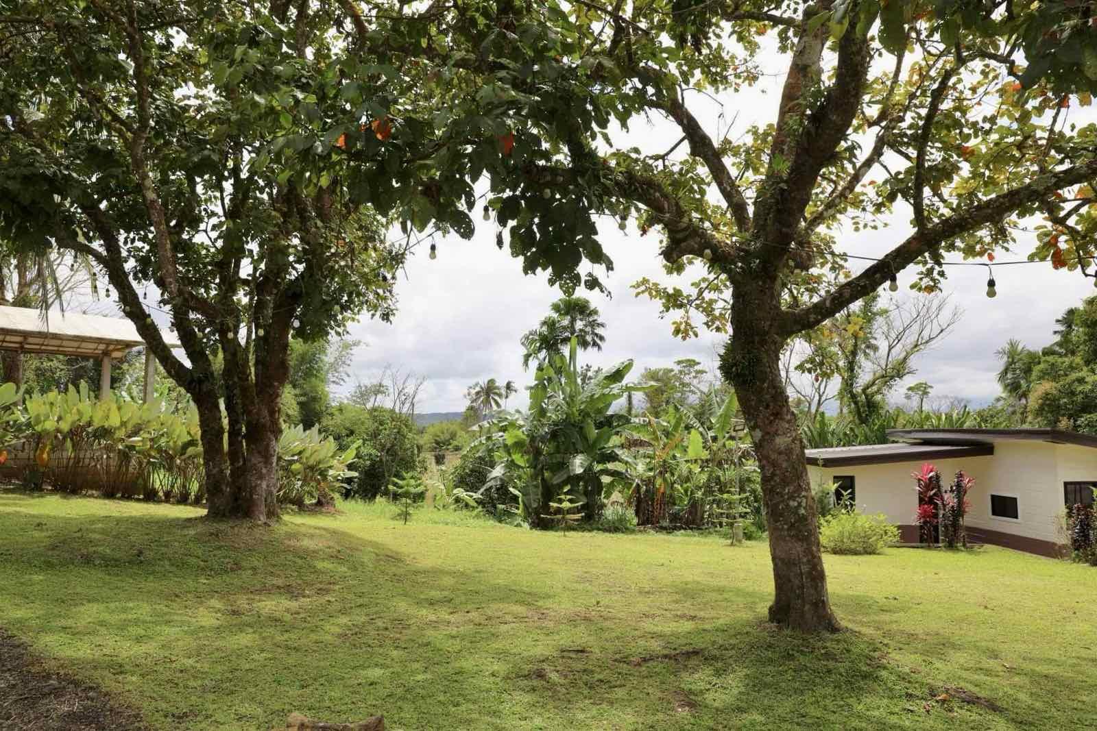 Farm House and lot for Sale! Only 30M! - Image# 16
