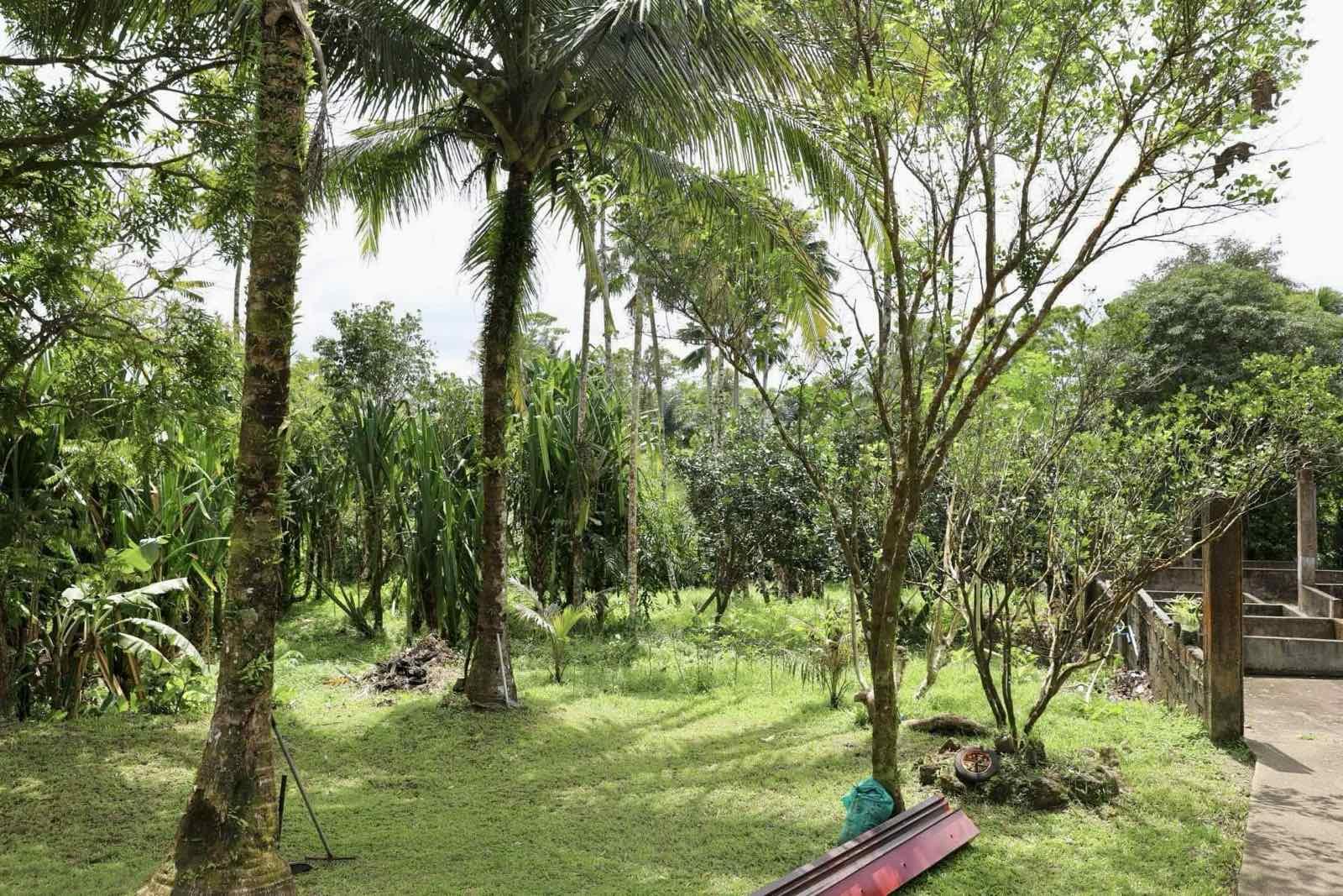 Farm House and lot for Sale! Only 30M! - Image# 17