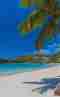 Popular Trend Beach Lots